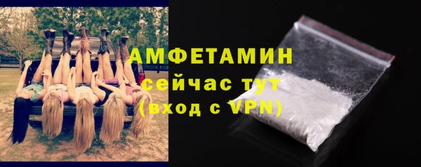 молекула духа Переславль-Залесский