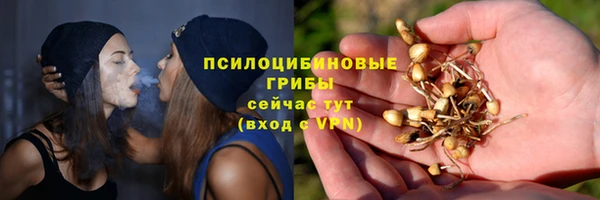 молекула духа Переславль-Залесский