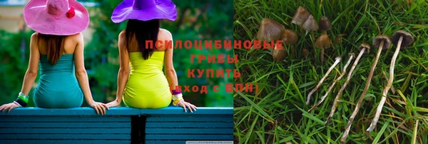 кристаллы Осинники