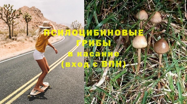 кристаллы Осинники