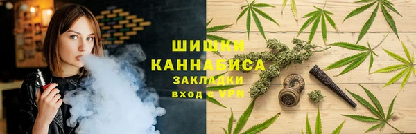 молекула духа Переславль-Залесский